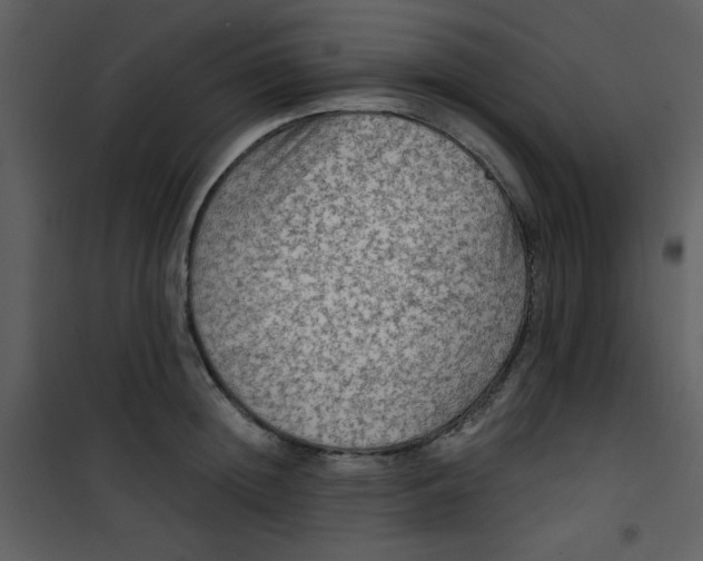 X0000101150852200807181332