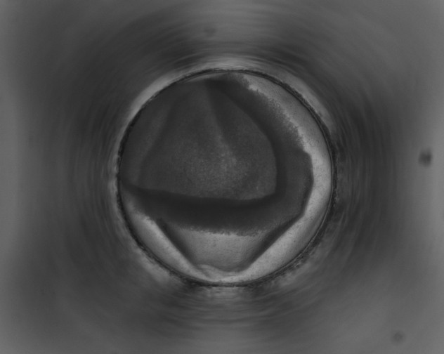 X0000101150853200807181332