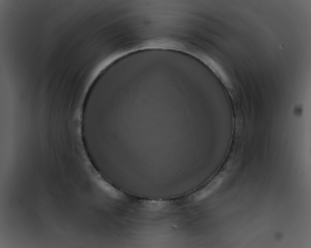 X0000101150854200807181332