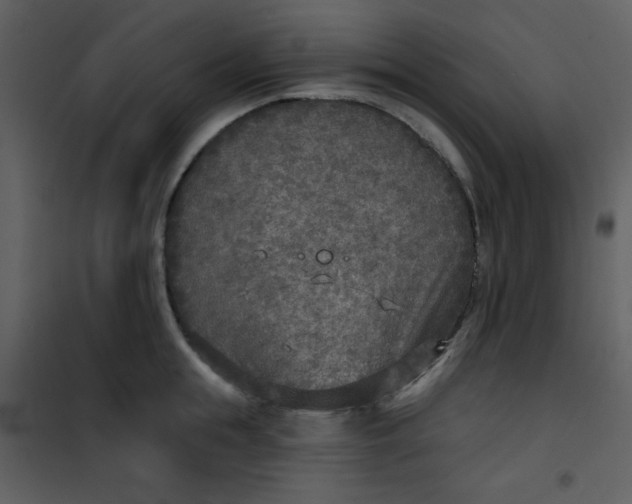 X0000101150855200807181332