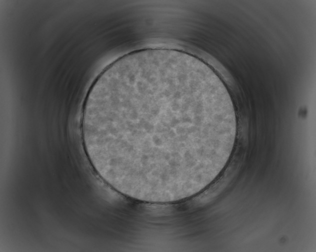 X0000101150856200807181332