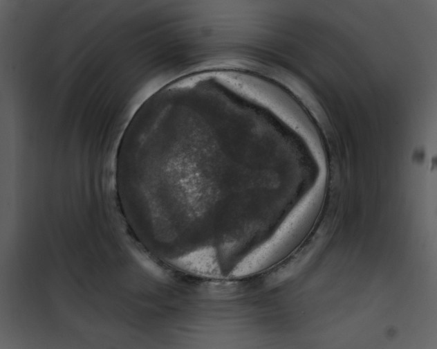 X0000101150858200807181332