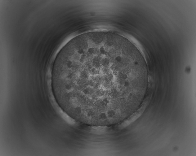 X0000101150859200807181332