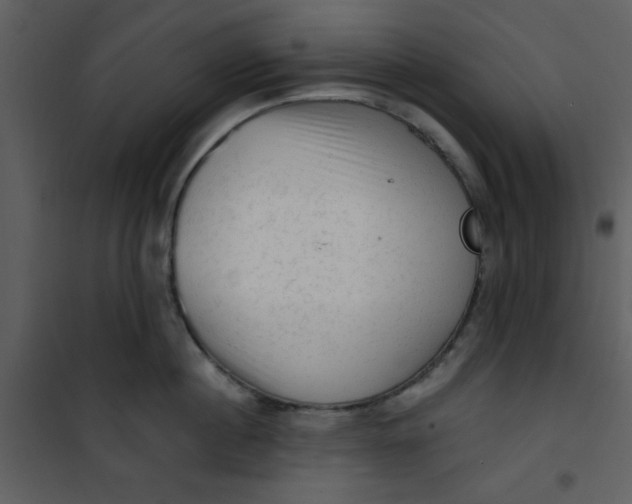 X0000101150860200807181332