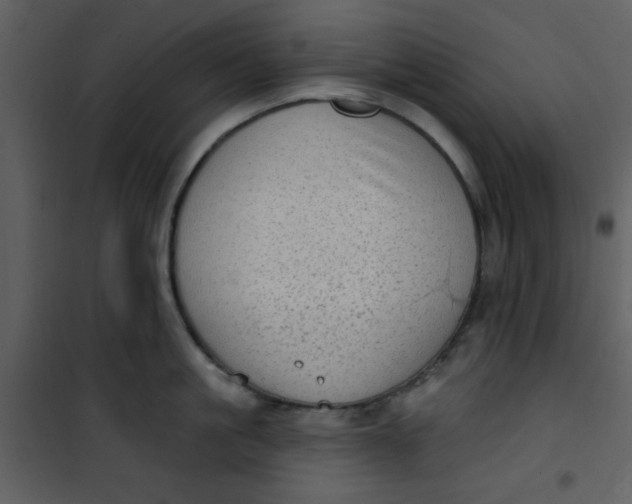 X0000101150861200807181332