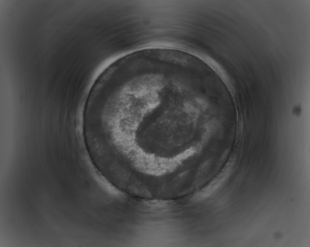 X0000101150862200807181332