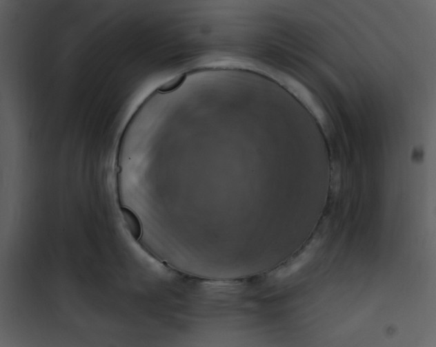 X0000101150863200807181332