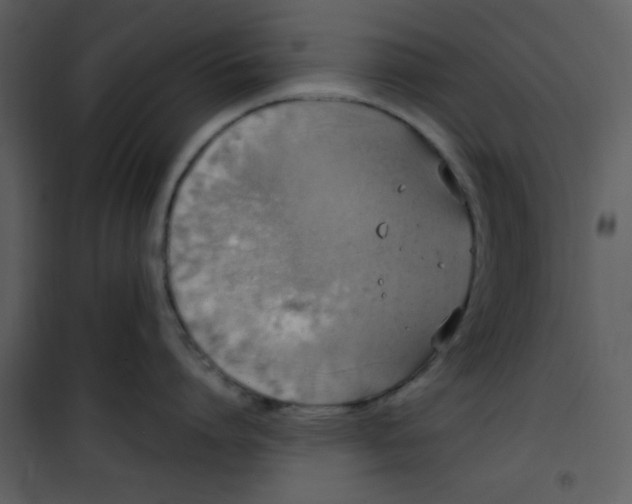 X0000101150864200807181332