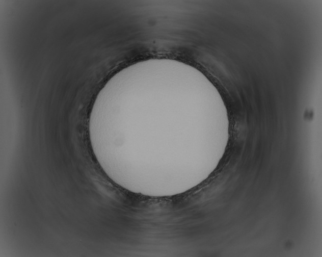 X0000101150865200807181331