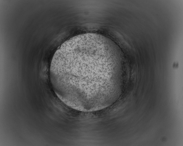 X0000101150866200807181331