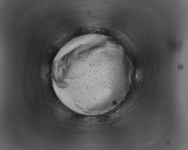 X0000101150867200807181331