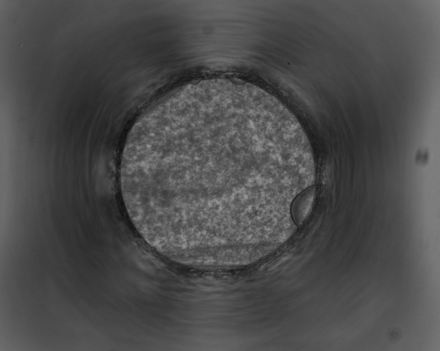 X0000101150868200807181331