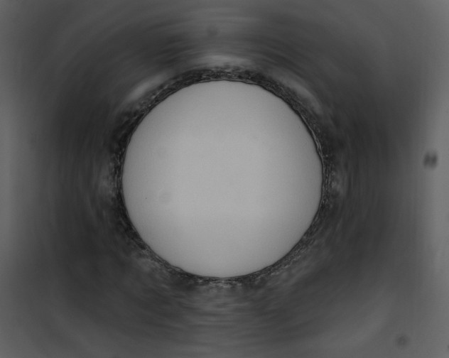 X0000101150869200807181331