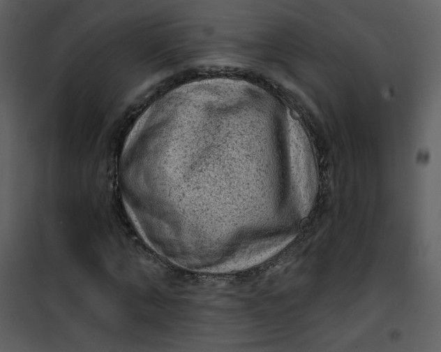 X0000101150870200807181331