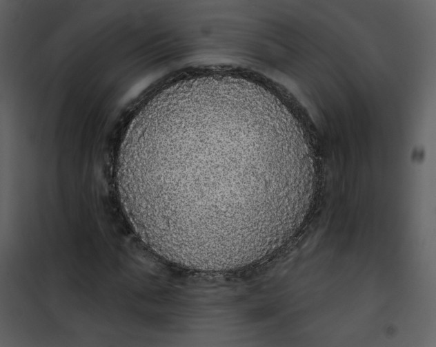 X0000101150871200807181331