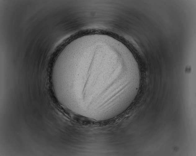 X0000101150872200807181331