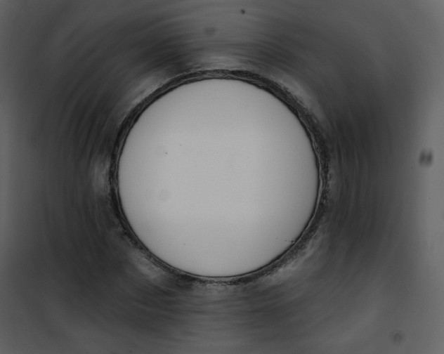 X0000101150873200807181331