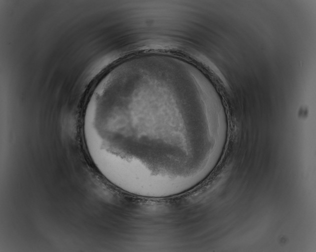 X0000101150874200807181331