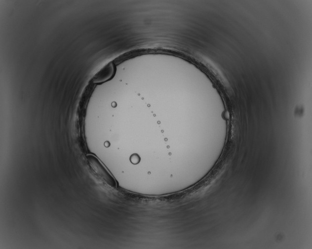 X0000101150876200807181331