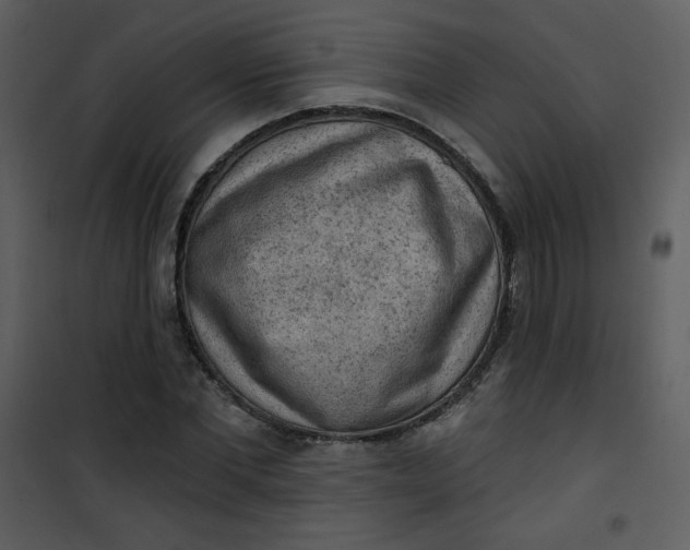 X0000101150877200807181331