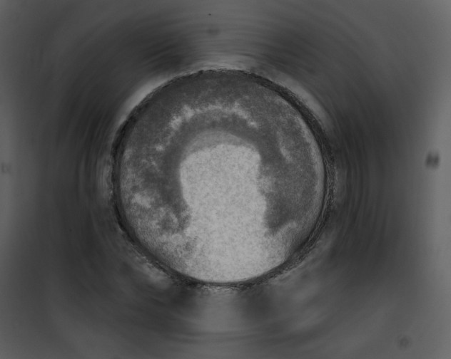 X0000101150878200807181331