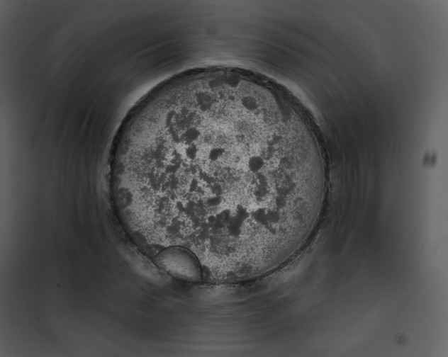 X0000101150879200807181331