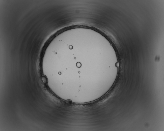 X0000101150880200807181331