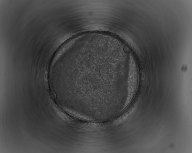 X0000101150881200807181331