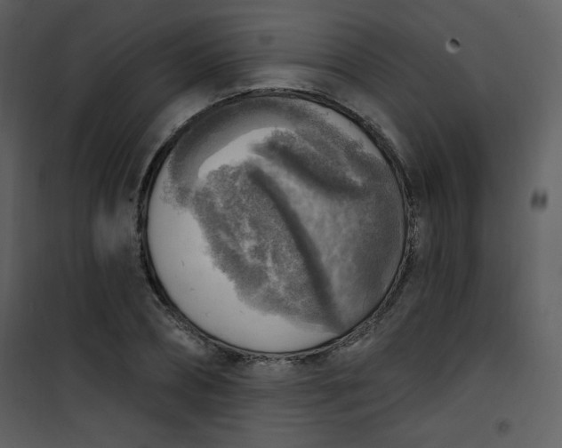 X0000101150882200807181331