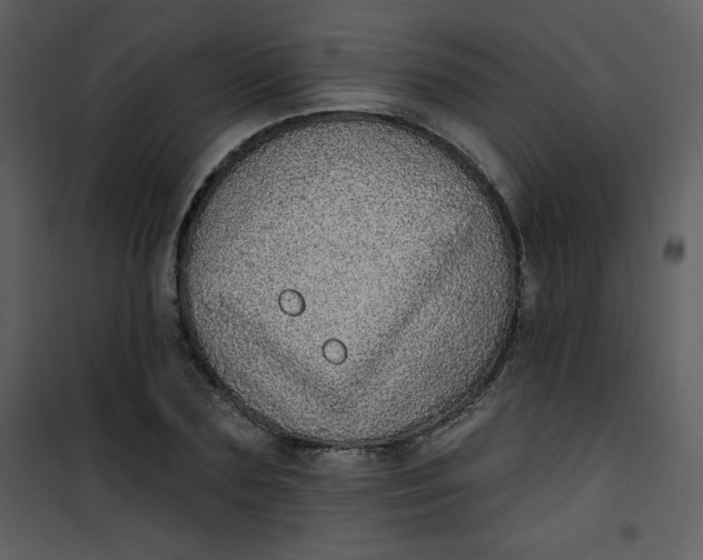 X0000101150883200807181331