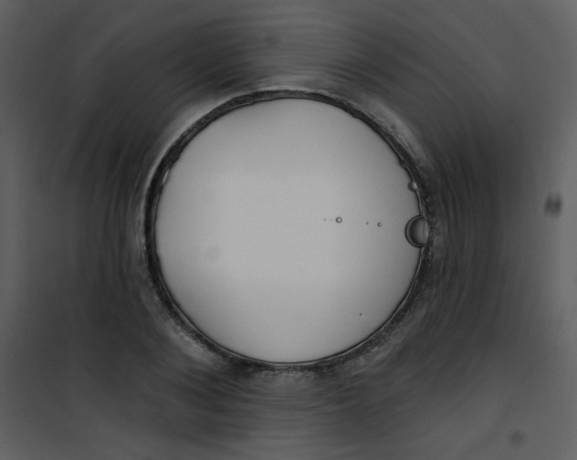 X0000101150884200807181331