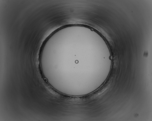 X0000101150885200807181331