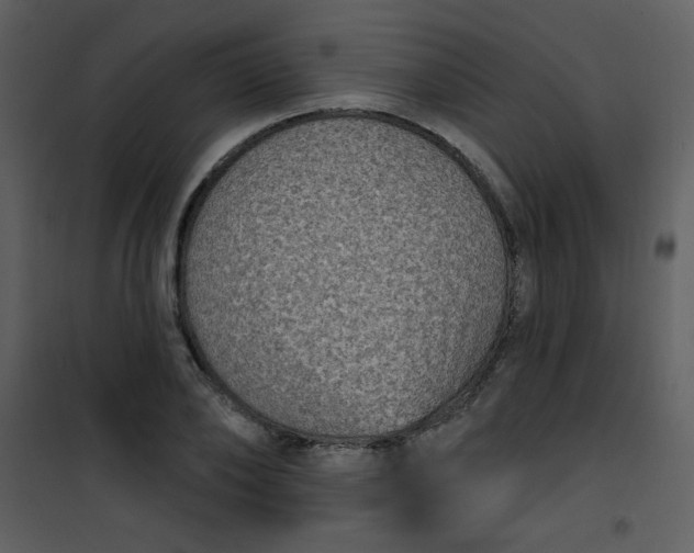 X0000101150886200807181331