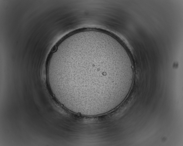 X0000101150887200807181331