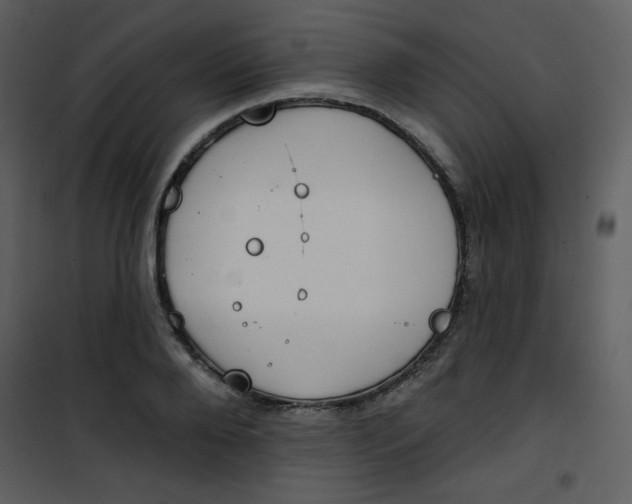 X0000101150888200807181331