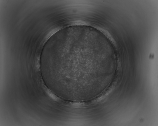 X0000101150889200807181331