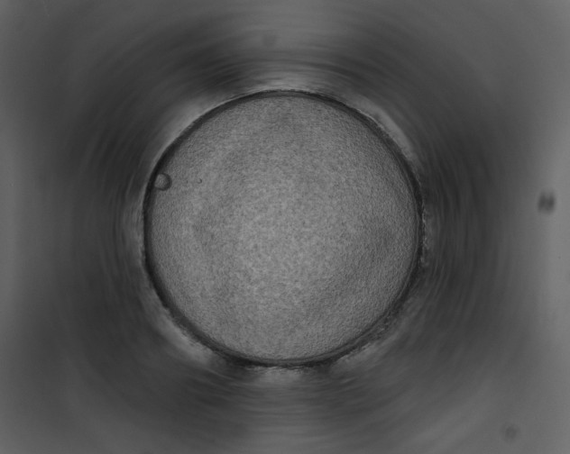 X0000101150890200807181331