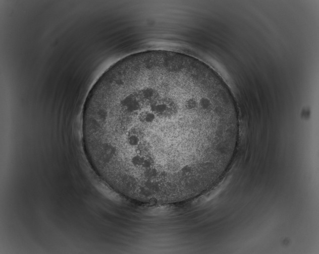 X0000101150891200807181331