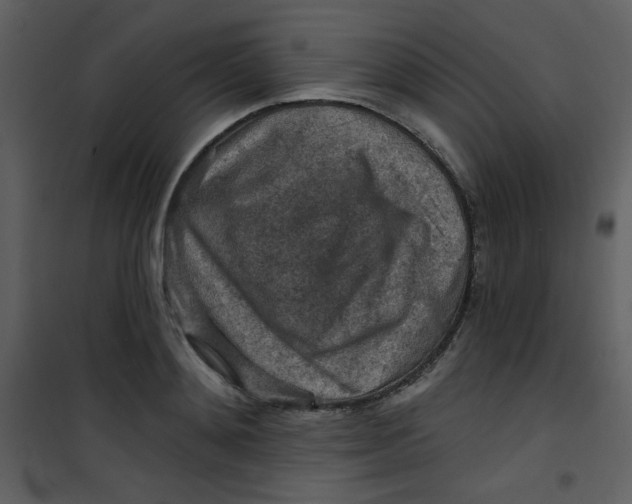 X0000101150892200807181331