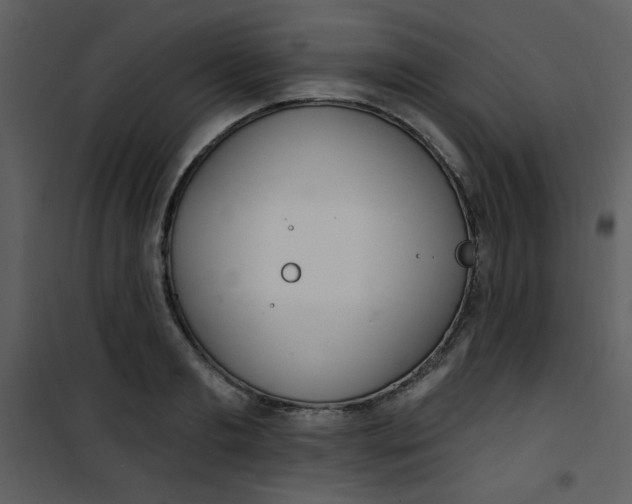 X0000101150893200807181331