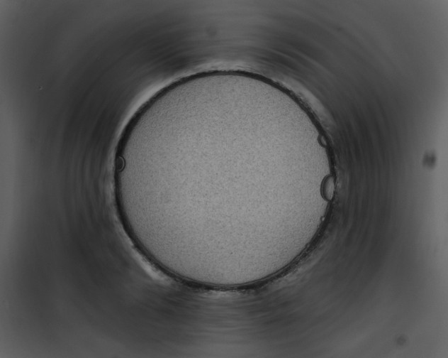 X0000101150894200807181331