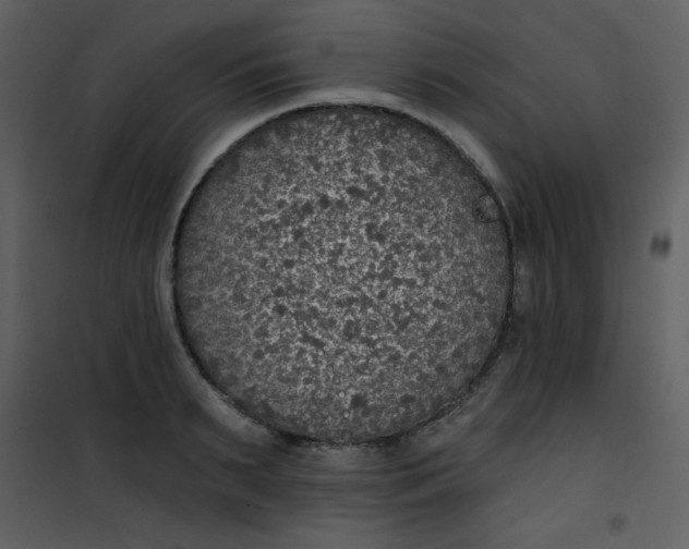 X0000101150895200807181331