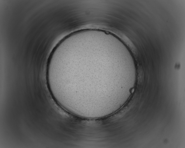 X0000101150896200807181331