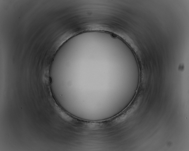 X0000101150897200807181331