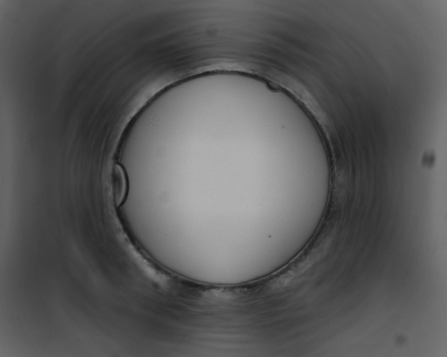 X0000101150898200807181331