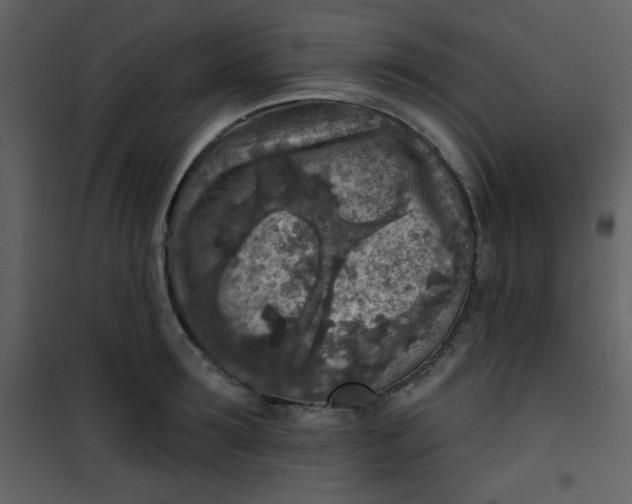 X0000101150899200807181331