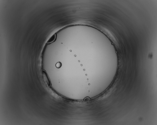 X0000101150900200807181331