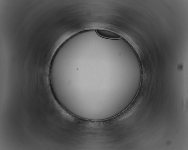 X0000101150901200807181331