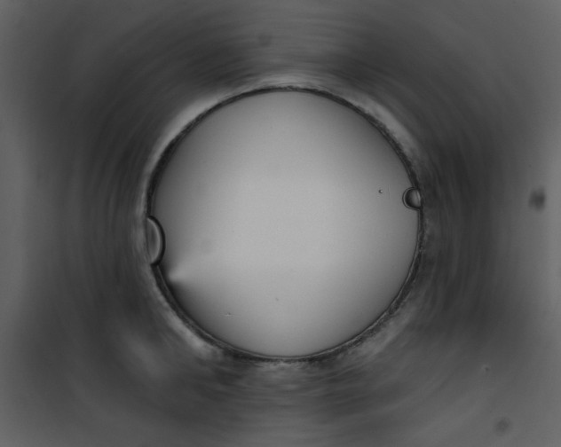 X0000101150902200807181331