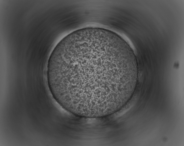 X0000101150903200807181331